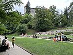 IMG_7550
