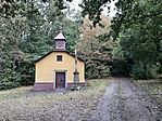 IMG_7699
