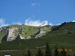 DSCN2009