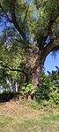 IMG_20240811_161405