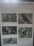 IMG_20240726_203008
