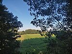 IMG_20240727_070848