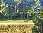 IMG_20240727_070858