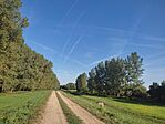 IMG_20240727_075027