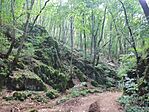 IMG_20240810_152902