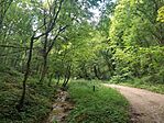 IMG_20240810_152704