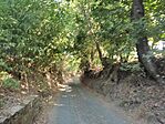 IMG_20240817_162846