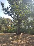 IMG_20240818_110059