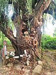 IMG_20240817_084429