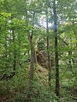 IMG_20240817_075354