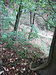 IMG_20240817_075746