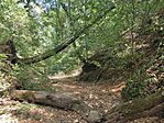 IMG_20240818_131418