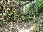 IMG_20240818_131654