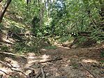 IMG_20240818_131911