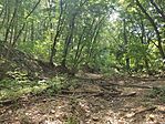 IMG_20240818_131937