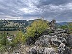 IMG_7885