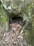 IMG_8017