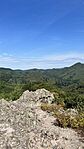IMG_1571