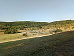 IMG_20240804_073357_716