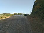 IMG_20240804_073405_285