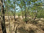IMG_20240825_123018013
