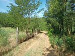 IMG_20240825_122746561
