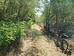 IMG_20240825_123611079
