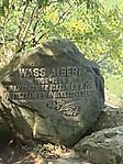 IMG_20240818_114137822