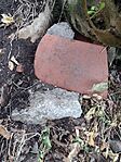 IMG_20240819_122642925
