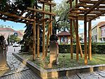 IMG_6509