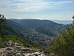 IMG_6921