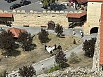 IMG_6975