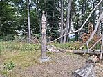 20240804_153122.jpg