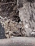 20240817_114531.jpg