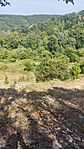IMG_20240824_133731