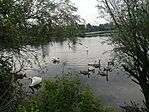 IMG_20240801_102747