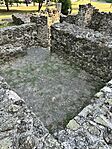 IMG_4705