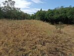 IMG_20240808_164545