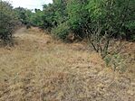 IMG_20240808_164607