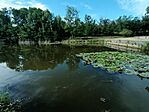 IMG_20240808_165913