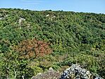 20240821_124025_lmc_8.4