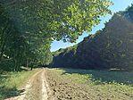 IMG_20240806_154847.jpg