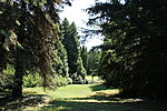 IMG_8685
