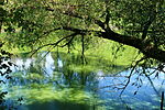 IMG_8699