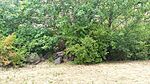 IMG_20240801_154510