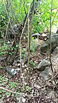 IMG_20240801_154359