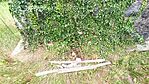 IMG_20240801_164751