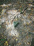 IMG_20240817_133407