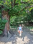 IMG_20240817_125243