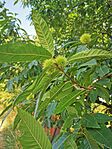 IMG_20240818_143529